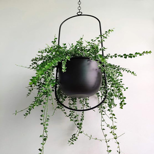 Black Metal Plant Hanger,Metal Wall and Ceiling Hanging Planter, Modern Planter, Mid Century Flower Pot Plant Holder Minimalist - Product Image 5