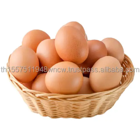 Kip Eieren Struisvogel Eieren, Kip Eieren, Turkije Eieren Verse Tafel Eieren Bruin En Wit Boerderij Verse Chi