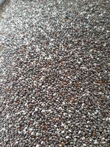 Semillas de Chía Negra Natural para Uso Culinario, Grado de Alta Pureza, Semillas de Chía Crudas a Granel para Fabricantes de Alimentos, Marca 99 Gold Data - Product Image 4