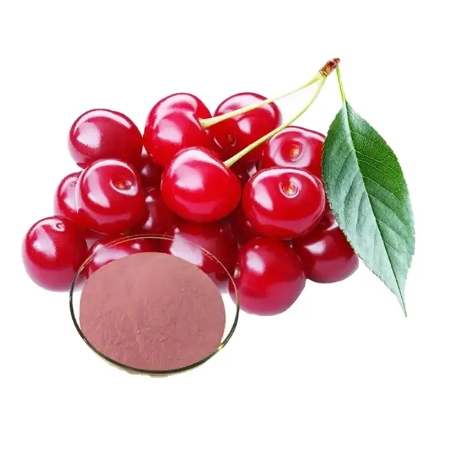 Free Sample Natural Acerola Cherry Extract Powder Supplement Powder For Export
