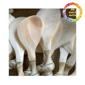 Vente en gros de cuillères en nacre du Vietnam |   Cuillères en coquillages pour offrir en cadeau et pour la table - Product Image 5