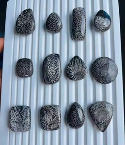 Vente en gros de cabochons de corail noir fossile naturel de haute qualité – Pierre précieuse de corail agatisé pour bijoux féminins - Product Image 4