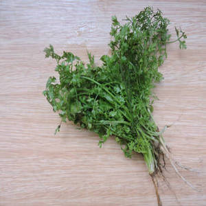 Graines de coriandre entières indiennes avec une apparence naturelle brun doré et une saveur aromatique pour la transformation alimentaire et les épices commerciales - Product Image 4
