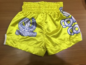 Pantalones Cortos de Kickboxing Personalizados, Pantalones Cortos de MMA Gladiator, Pantalones Cortos de Muay Thai con Bordado para Hombre - Product Image 4
