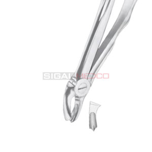 Fig. Forceps d'extraction dentaire manuels en acier inoxydable allemand pour 17 molaires supérieures droites de différentes tailles, certifiés CE - Product Image 5