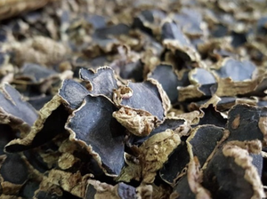 Thai Black Ginger 15% DMF Embalaje de tambor cultivado salvaje de alta calidad Extracto de hierbas KMP Venta Tailandia Krachai-dam extracto KMP - Product Image 3