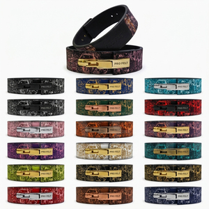 2026 New Latest Design Leather Lever Buckle Weightlifting <b>Belt</b> Gym Fitness Training Back Support High Performance Comfort <b>Belt</b> - Product Image 1