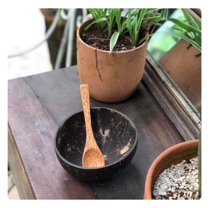 2024, el mejor juego puros y naturales de cuencos de cáscara de coco, cuencos de sopa y plato ecológicos para una vida ecológica - Product Image 2