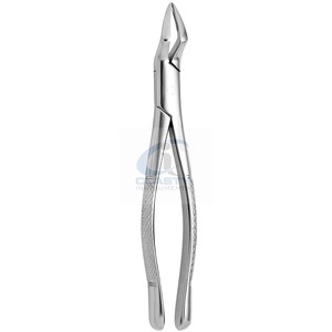 Forceps d'extraction dentaire en acier inoxydable, instrument chirurgical manuel certifié CE Classe I pour la chirurgie buccale - Product Image 6