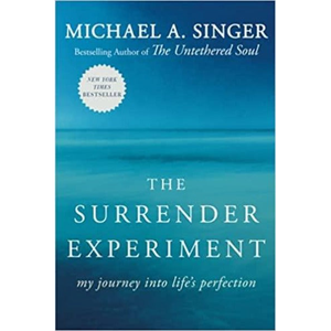 L'EXPERIMENT DE RENONCLEMENT par l'auteur Michael A. Impression de livres brochés personnalisés Singer Paperback - Product Image 1