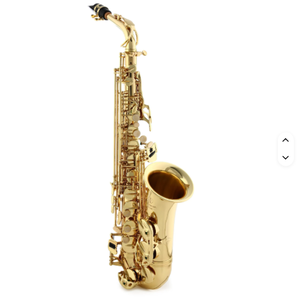 Saxophone alto AS300 neuf pour étudiants avec support OEM personnalisé, qualité industrielle DIY - Product Image 1