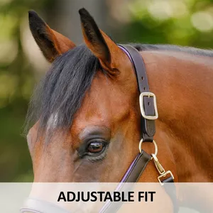 Harnais de cheval en cuir noir personnalisable, confortable avec ferrures en laiton, fait main -Cob-Full, fournitures équestres de haute qualité - Product Image 5