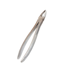 Pinzas de Molares Superiores Rectas, Tipo Figura 29, de Acero Inoxidable, para Extracción Dental, Instrumento Quirúrgico - Product Image 1