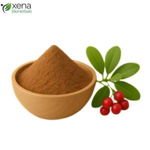 Proveedor Mayorista de Extracto de Gayuba en Polvo, Ingrediente Botánico Herbal, Suministro a Granel - Product Image 3