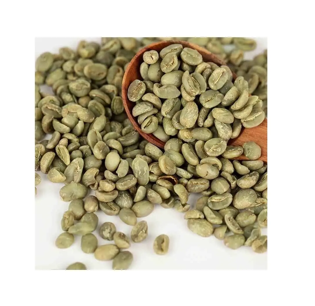 Robusta Green Coffee Bean brand of DHPONE New Crop 100% Top Quality - Best Ready Raw Coffee Beans For Drinking