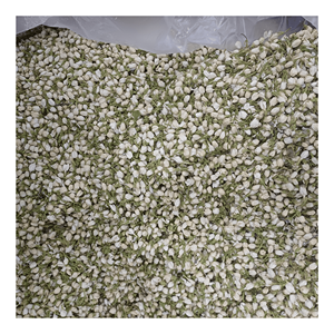 Vietnam Dried jasmine flower selected whole buds for <b>bubble</b> tea <b>toppings</b> and sachet filling, low-moisture floral material - Product Image 2