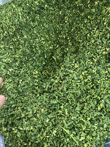 เกล็ดขึ้นฉ่ายอบแห้งสำหรับผสมอาหารและทำน้ำสลัดผักออร์แกนิกอบแห้งด้วยอากาศจากโรงงานเวียดนาม Safimex - Product Image 5