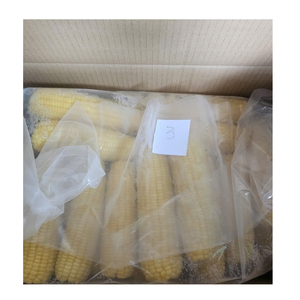 Producto Vegetal de Maíz Congelado Premium para Importadores, Mayoristas y Distribuidores - Product Image 3