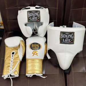 No Boxing No Life boxing gloves <b>head</b> guard And groin Guard protector white gold <b>training</b> gear kit for unisex Boxing Set - Product Image 1