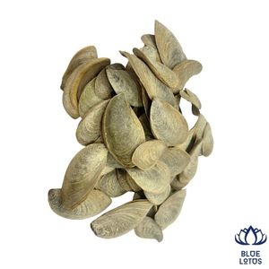 Operculum de Murex Sostenible de Alta Calidad, Extracto de Fragancia Pura Premium, Ingrediente para Incienso, Venta al Por Mayor - Product Image 1