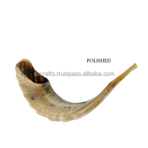 Venta al por mayor, cuerno de Ram Natural genuino shofar pulido a la venta - Product Image 5
