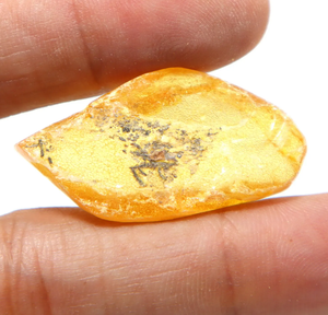 Cabochon lisse en ambre naturel de la Baltique avec insectes inclus, pierre précieuse en ambre en vrac - Product Image 3