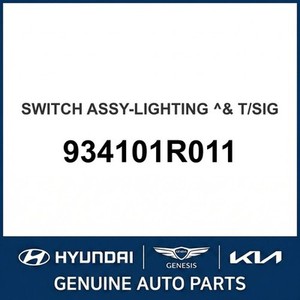 Interruptores y Controles Nuevos Accent 934101R011 - Product Image 1