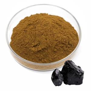 Poudre d'extrait de Shilajit de l'Himalaya riche en nutriments, poudre d'extrait de Shilajit de qualité supérieure, soutient l'énergie naturelle et la nutrition quotidienne - Product Image 1