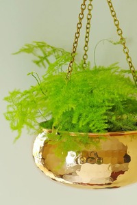 Ensemble de jardinières suspendues en or poli style vintage, idéal pour les plantes d'intérieur, le balcon et la décoration murale de maisons de luxe, provenant d'Inde. - Product Image 6