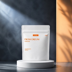 [FROM OREUM] Gamme de produits d'hygiène bucco-dentaire pour voyages d'affaires – Recharges de dentifrice solide pour brossage quotidien – Vente au détail - Product Image 2