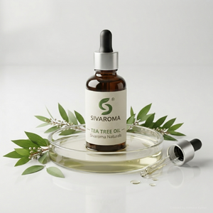 Huile Essentielle d'Arbre à Thé Haute Pureté pour Mélanges Aromatiques, Cosmétiques, Soins Capillaires, Savons et Commandes en Gros B2B - Product Image 1