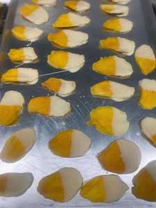 Deliciosos Bocaditos de Mango Deshidratado Cubiertos de Chocolate que Combinan el Sabor Natural de Frutas Tropicales con un Chocolate Suave - Product Image 1