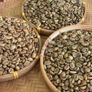 Premium Vietnam Robusta Raw Green <b>Coffee</b> <b>Beans</b> Bulk Wholesale Export Quality <b>Coffee</b> <b>Beans</b> Supplier - Product Image 1