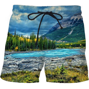 Shorts de Playa a Rayas para Hombre, Ecológicos, Transpirables, de Spandex/Poliéster, de Secado Rápido, con Cordón Ajustable, Estampado de Palmeras - Product Image 3