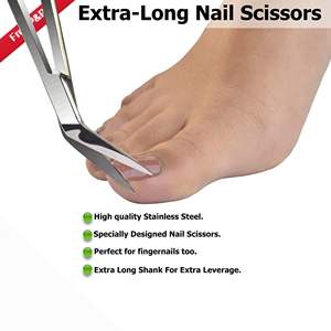 15.8cm Classical Toenail Finger Scissors High Carbon Steel Sharp Wide Straight Durable Podiatrist <b>Nail</b> <b>Tool</b> Clippers Thick - Product Image 2
