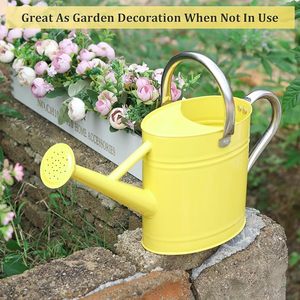 Arrosoir en métal vintage pour plantes d'intérieur et d'extérieur, pot d'arrosage décoratif pour jardin avec poignée confortable - Product Image 3