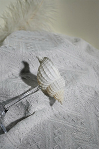 2026 Best Price Seashell Wine Glasses Seahell Wine Glass Seashell Glasses Seashell Glass Kitchen <b>Accessories</b> <b>Drinkware</b> Shell Sup - Product Image 3