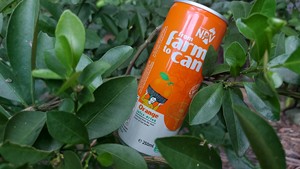 Jugo de Naranja Puro Natural Esterilizado de Alta Calidad al por Mayor, Lata Delgada de 250ml, Paquete de 24, Jugo de Frutas con Sabor Natural Instantáneo - Product Image 4