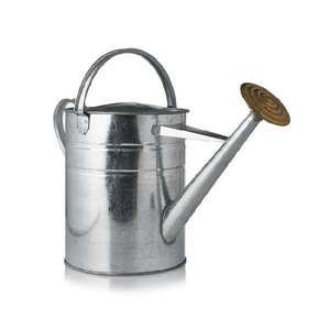 Regadera de Acero Galvanizado Vintage para Jardín, Ecológica, Moderna, de Tamaño Personalizado, Económica, para Exteriores - Product Image 3