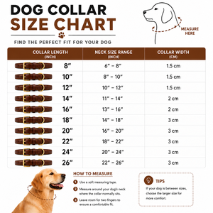 Collier pour chien en cuir véritable sculpté avec diamants, rembourré, clouté, en cuir de buffle véritable, réglable, robuste, design de créateur - Product Image 5