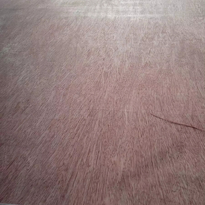 Contrachapado Comercial con Núcleo de Eucalipto, Diseño Moderno para Apartamentos, 1220x2440mm, Instalación In Situ, Solución Total - Product Image 1