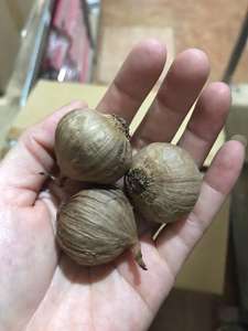 Ly Son Ail noir doux doux et riche en antioxydants idéal pour l'exportation - Product Image 6