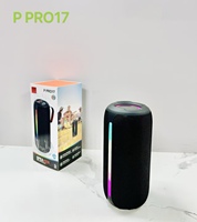 Système audio sans fil P PRO 17 20W avec basses profondes, son stéréo HiFi, caisson de basses, double radiateurs passifs, éclairage ambiant RGB, boîte audio portable