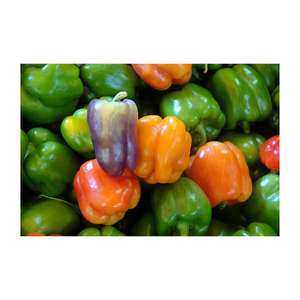 Verduras frescas de alta calidad 10-30 kg en cajas de madera o cartón Pimiento fresco para consumo - Product Image 5