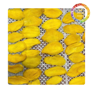 Rodajas de Mango Secas Suaves, Sabor Dulce, Envasadas al Vacío para Aperitivos, Yogur, Avena, Smoothies, Ensaladas y Otros Usos Alimenticios - Product Image 1