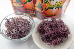 สาหร่ายมอสแห้งสีม่วงพรีเมียม สาหร่ายมอสธรรมชาติสำหรับทำเจล สมูทตี้ ผลิตภัณฑ์ดูแลผิว และอาหารเสริม พร้อมส่งออกทั่วโลก // คุณเบียทริกซ์ - Product Image 4