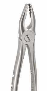 Forceps d'extraction dentaire en acier inoxydable chirurgical pour incisives inférieures, canines et premiers molaires à surface mate, instrument d'extraction radiculaire - Product Image 5