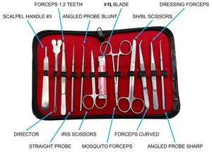 Kit de Disección Biológica Profesional de 22 Piezas, Juego de Anatomía de Acero Inoxidable para Estudiantes de Medicina y Laboratorios Veterinarios - Certificado CE - Product Image 3