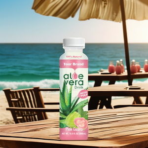 TANDO Vietnam Fabricante Mejor precio OEM/ODM Aloe Vera Juice Drink 500ml Pulp Bottle Packaging con muestra gratis al por mayor - Product Image 1