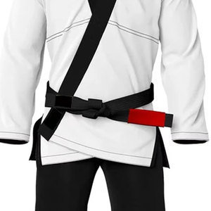 Judo Karate Suits High Quality Team Martial Arts Wear Unique Color Wholesale Supplier Direct Factory Production - Product Image 6